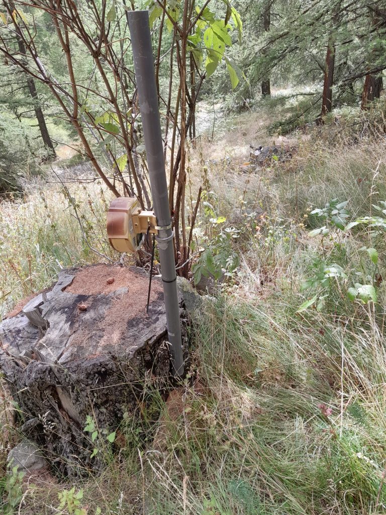 une antenne Wifi 